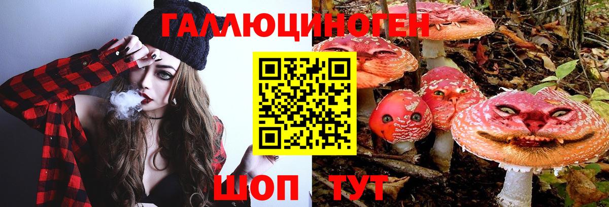 Галлюциногенные грибы Cubensis Тобольск